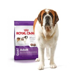 Royal Canin Giant dry food...