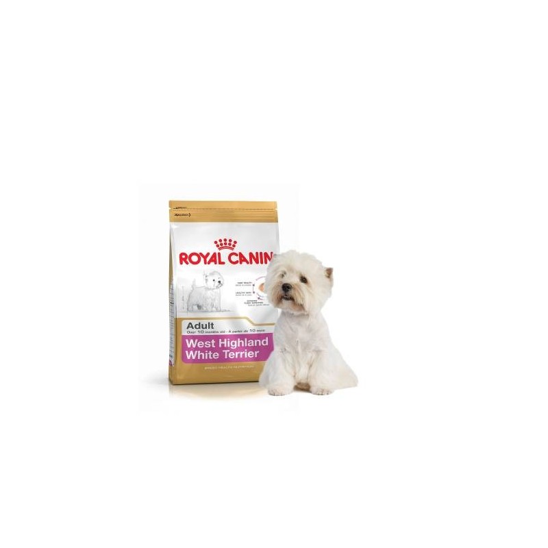 Alimento seco Royal Canin para Westie