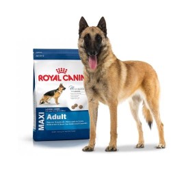 Royal Canin Maxi dry food...
