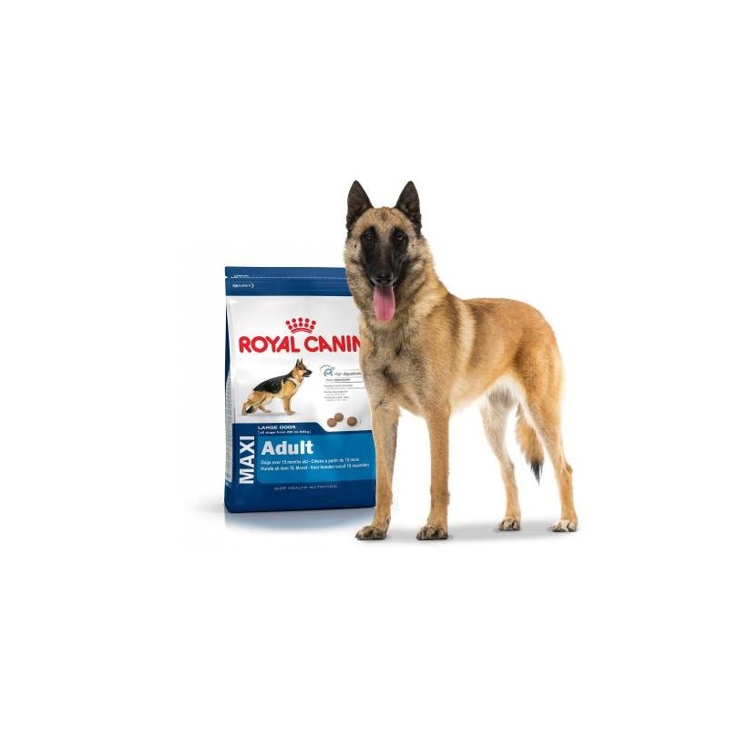 Royal Canin Maxi dry food for large dog